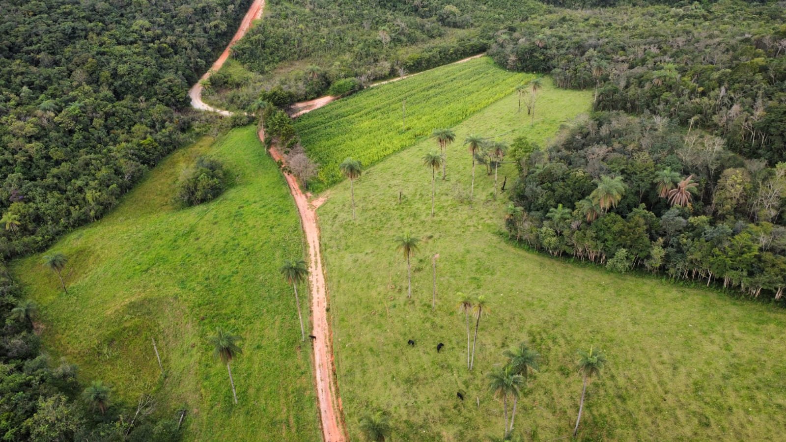 Sobre a Fazenda Macaybas